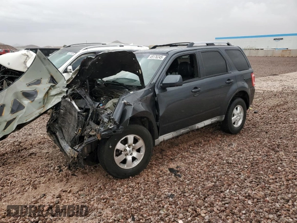 2009 Ford Escape Limited with VIN 1FMCU94769KC21080, listed as a Copart auction lot 65809795 with 171,483 mi miles and Salvage title. Bid and sale history available at DreamBid. Image 1.
