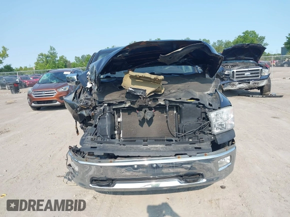 2009 Dodge 1500 SLT с VIN 1D3HV13T39S723883, выставлен на аукционе IAAI как лот 42357664 с пробегом 159 185 миль миль и . История ставок и продаж доступна на DreamBid. Изображение 13.