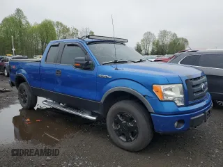 2010 Ford F-150 XL with VIN 1FTFX1EV3AFC01745, listed as a Copart auction lot 55466205 with 125,836 mi miles and Clean Title. Bid and sale history available at carsss.com. Image 4.