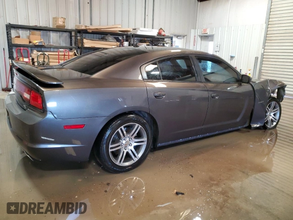 2013 Dodge Charger RT with VIN 2C3CDXCT3DH715831, listed as a Copart auction lot 43405495 with 112,482 mi miles and Clean Title. Bid and sale history available at carsss.com. Image 3.
