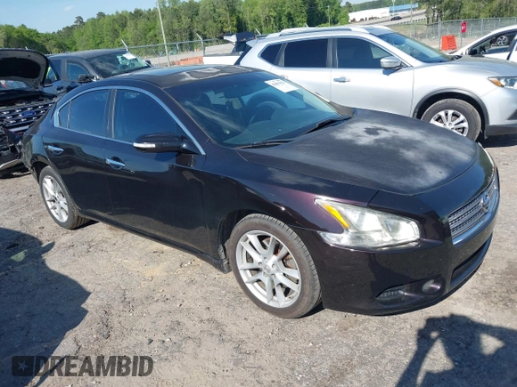 2010 Nissan Maxima SV with VIN 1N4AA5AP4AC850777, listed as a IAAI auction lot 42051922 with 232,757 mi miles and . Bid and sale history available at DreamBid. Image 1.