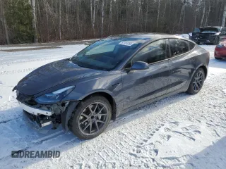 2023 Tesla Model 3 with VIN 5YJ3E1EA7PF496089, listed as a Copart auction lot 87101254 with 42,830 mi miles and Salvage Title. Bid and sale history available at DreamBid. Image 1.