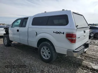 2011 Ford F-150 XL with VIN 1FTFX1EF9BFB86162, listed as a Copart auction lot 46303825 with Not Provided miles and Salvage Title. Bid and sale history available at carsss.com. Image 2.