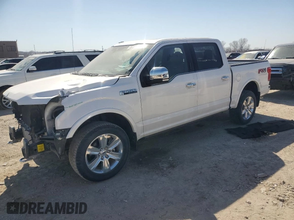 2019 Ford F-150 XL with VIN 1FTEW1E48KFD53334, listed as a Copart auction lot 48303595 with 40,208 mi miles and Salvage Title. Bid and sale history available at carsss.com. Image 1.