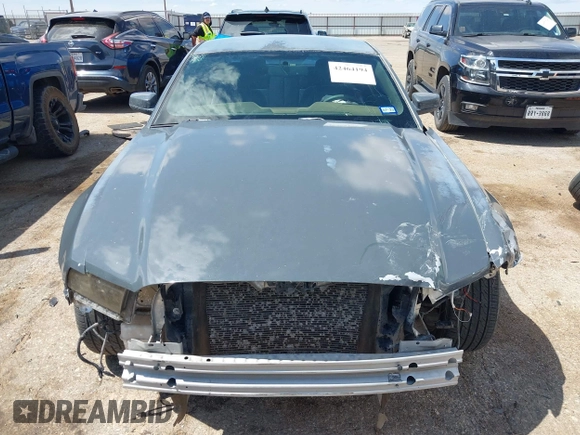 2013 Ford Mustang V6 with VIN 1ZVBP8AM0D5207837, listed as a IAAI auction lot 42464194 with 171,916 mi miles and . Bid and sale history available at DreamBid. Image 13.