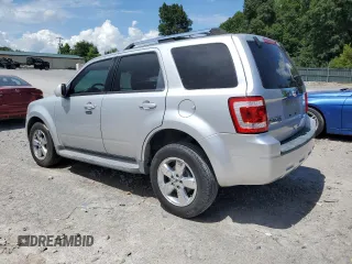 2010 Ford Escape Limited with VIN 1FMCU0E77AKC58458, listed as a Copart auction lot 64207645 with 160,650 mi miles and Salvage title. Bid and sale history available at DreamBid. Image 2.