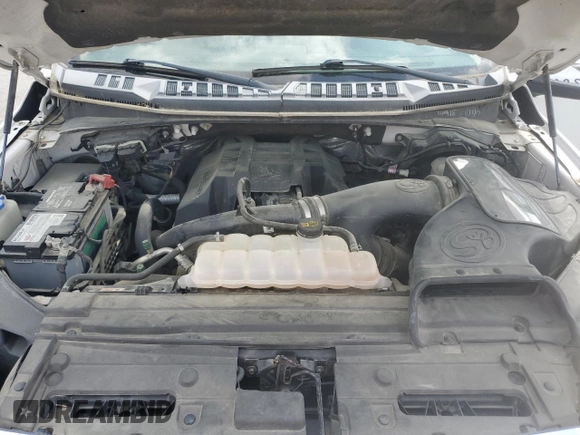 2017 Ford F-150 XL with VIN 1FTEX1EP3HFA60652, listed as a Copart auction lot 51272995 with 224,196 mi miles and Clean Title. Bid and sale history available at carsss.com. Image 11.