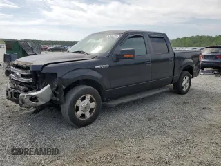 2014 Ford F-150 XL with VIN 1FTEW1CM5EKD46999, listed as a Copart auction lot 53685705 with 206,519 mi miles and Salvage title. Bid and sale history available at DreamBid. Image 1.