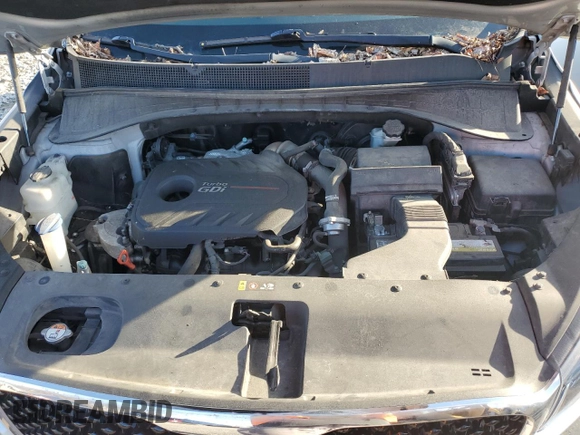 2016 Kia Sorento EX with VIN 5XYPH4A11GG033292, listed as a Copart auction lot 48294025 with Not Provided miles and Clean Title. Bid and sale history available at DreamBid. Image 12.