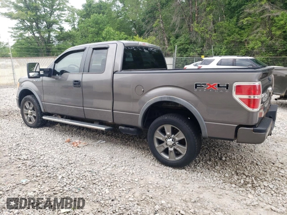 2009 Ford F-150 XL with VIN 1FTPX14V29FA00582, listed as a Copart auction lot 59819485 with 218,535 mi miles and Clean title. Bid and sale history available at DreamBid. Image 2.