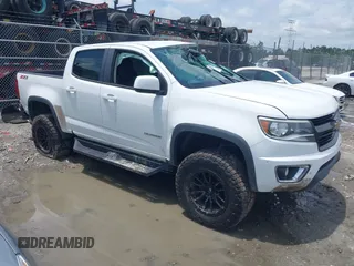 2015 Chevrolet Colorado 4WD Z71 with VIN 1GCGTCE30F1209798, listed as a IAAI auction lot 42370825 with 137,319 mi miles and . Bid and sale history available at DreamBid. Image 1.