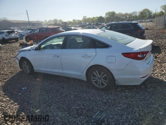 2016 Hyundai Sonata SE with VIN 5NPE24AF1GH359168, listed as a Copart auction lot 54137245 with Not Provided miles and Salvage Title. Bid and sale history available at carsss.com. Image 2.