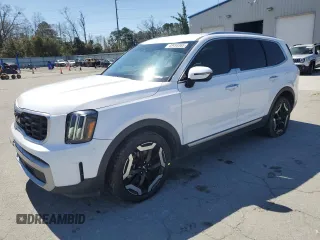 2023 Kia Telluride S with VIN 5XYP64GC4PG330832, listed as a Copart auction lot 48493365 with 68,999 mi miles and Salvage Title. Bid and sale history available at carsss.com. Image 1.