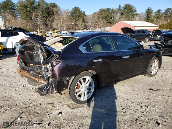 2010 Nissan Maxima 3.5 SV with VIN 1N4AA5AP6AC825203, listed as a Copart auction lot 48490445 with 195,801 mi miles and Clean Title. Bid and sale history available at carsss.com. Image 3.