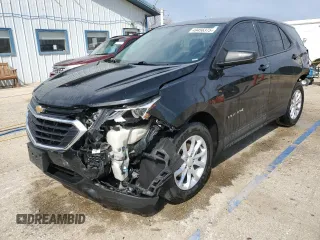 2019 Chevrolet Equinox LS with VIN 3GNAXHEV2KL296025, listed as a Copart auction lot 49456375 with 95,767 mi miles and Salvage Title. Bid and sale history available at carsss.com. Image 1.