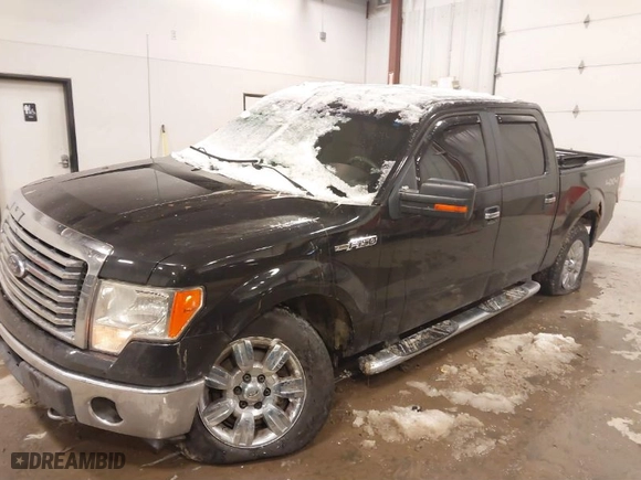 2010 Ford F-150 XL with VIN 1FTFW1EV9AFA04789, listed as a IAAI auction lot 41310534 with 158,469 mi miles. Bid and sale history available at carsss.com. Image 2.