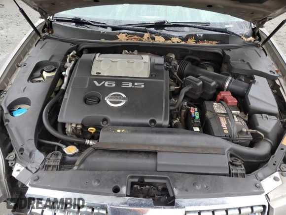 2006 Nissan Maxima 3.5 SE with VIN 1N4BA41E06C833799, listed as a Copart auction lot 88682845 with 202,768 mi miles and Salvage Title. Bid and sale history available at carsss.com. Image 11.