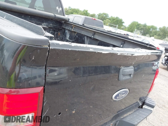 2008 Ford F-150 XLT with VIN 1FTPX04578KE72146, listed as a IAAI auction lot 42662856 with 205,813 mi miles and . Bid and sale history available at DreamBid. Image 6.
