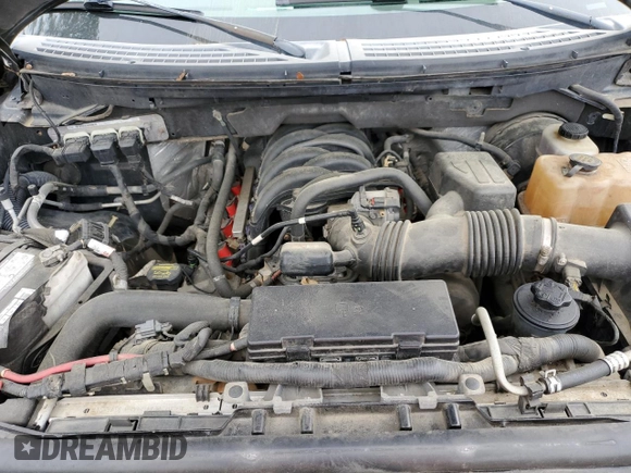 2010 Ford F-150 XL with VIN 1FTEW1C88AFC56624, listed as a Copart auction lot 50648135 with 228,961 mi miles and Salvage Title. Bid and sale history available at carsss.com. Image 13.