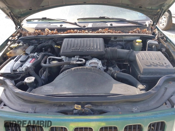 1999 Jeep Grand Cherokee Limited z VIN 1J4GW68N5XC630910, wystawiony jako IAAI lot #42380978 z przebiegiem 188 300 mil mil oraz . Historia ofert i sprzedaży dostępna na DreamBid. Obrazek 10.