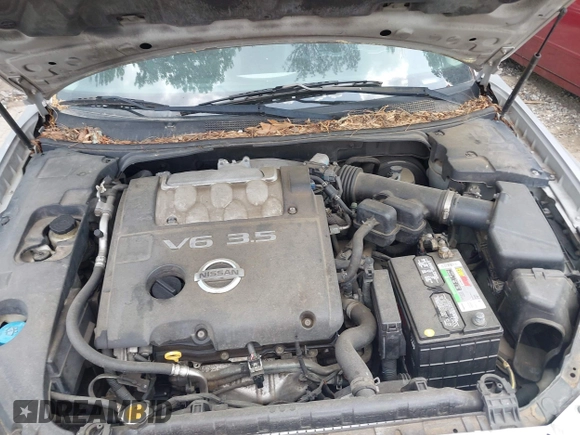 2005 Nissan Maxima SL with VIN 1N4BA41E65C826709, listed as a IAAI auction lot 41980535 with 110,252 mi miles and . Bid and sale history available at DreamBid. Image 10.