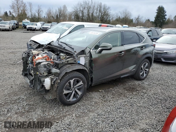 2021 Lexus NX 300h with VIN JTJGJRDZ9M2155016, listed as a Copart auction lot 49876235 with 43,870 mi miles and Salvage title. Bid and sale history available at DreamBid. Image 1.