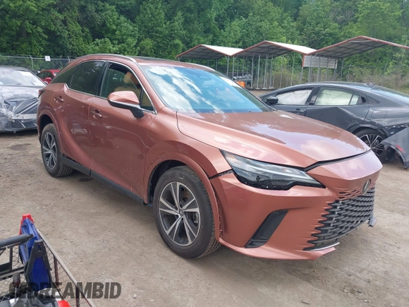 2024 Lexus RX 350 with VIN 2T2BAMCA8RC052539, listed as a IAAI auction lot 42177219 with 16,737 mi miles and . Bid and sale history available at DreamBid. Image 1.