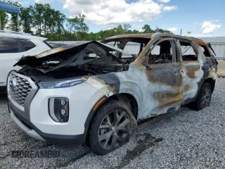 2022 Hyundai Palisade SEL with VIN KM8R44HE7NU450307, listed as a Copart auction lot 55730385 with Not provided miles and Non repairable. Bid and sale history available at DreamBid. Image 1.