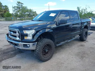 2017 Ford F-150 XL with VIN 1FTEW1EF1HFB91685, listed as a IAAI auction lot 41893084 with 309,583 mi miles. Bid and sale history available at carsss.com. Image 17.