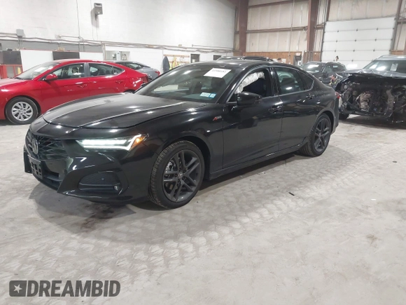 2025 Acura TLX w/A-Spec Package with VIN 19UUB6F50SA000385, listed as a IAAI auction lot 41988181 with 4,231 mi miles and . Bid and sale history available at DreamBid. Image 18.
