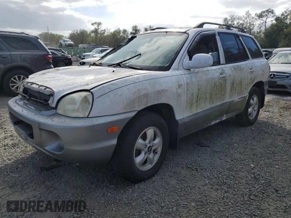 2005 Hyundai Santa Fe GLS with VIN KM8SC13D95U868823, listed as a Copart auction lot 80675094 with 0 mi miles and Salvage Title. Bid and sale history available at carsss.com. Image 1.