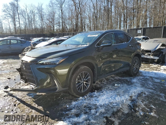 2022 Lexus NX 350 with VIN 2T2AGCEZ5NC015272, listed as a Copart auction lot 38804114 with 8,648 mi miles and . Bid and sale history available at DreamBid. Image 1.