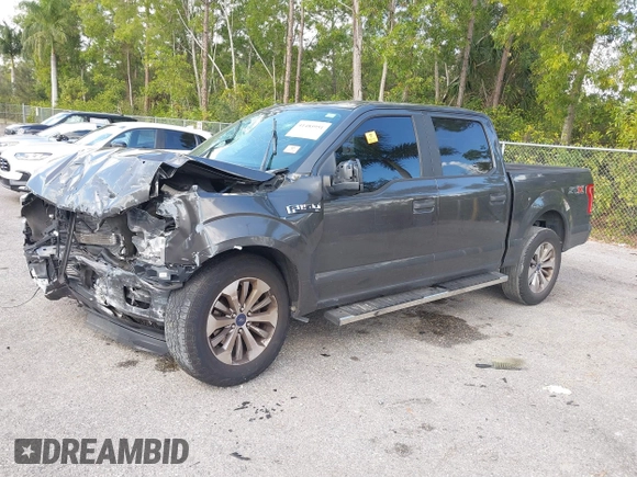 2017 Ford F-150 XL with VIN 1FTEW1CP7HKC83502, listed as a IAAI auction lot 41485951 with 117,373 mi miles and . Bid and sale history available at DreamBid. Image 2.
