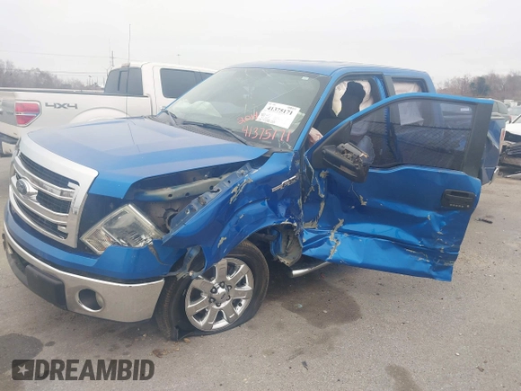 2014 Ford F-150 XL with VIN 1FTEW1CM1EKG07514, listed as a IAAI auction lot 41375171 with 217,758 mi miles. Bid and sale history available at carsss.com. Image 6.