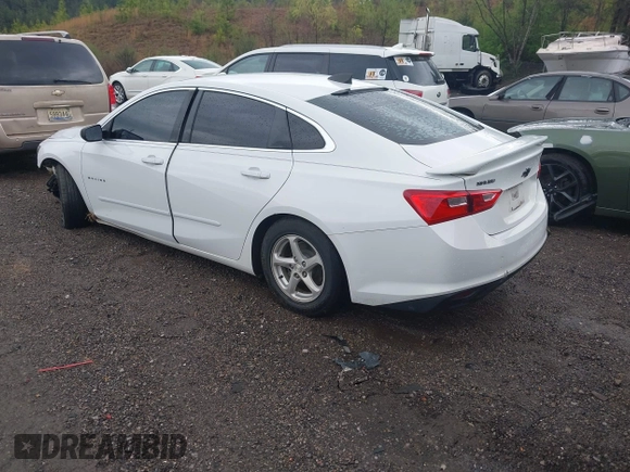 2017 Chevrolet Malibu LS with VIN 1G1ZB5ST2HF135830, listed as a IAAI auction lot 41891267 with 116,097 mi miles and . Bid and sale history available at DreamBid. Image 3.