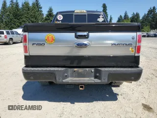 2009 Ford F-150 XL with VIN 1FTPW14V59FA44112, listed as a Copart auction lot 63436815 with 255,464 mi miles and Salvage title. Bid and sale history available at DreamBid. Image 6.