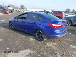 2013 Ford Focus SE with VIN 1FADP3F25DL198429, listed as a IAAI auction lot 41136019 with 123,810 mi miles. Bid and sale history available at carsss.com. Image 3.