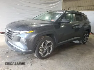2023 Hyundai Tucson SEL with VIN 5NMJFCAE6PH243210, listed as a Copart auction lot 56204255 with 38,987 mi miles and Salvage title. Bid and sale history available at DreamBid. Image 1.