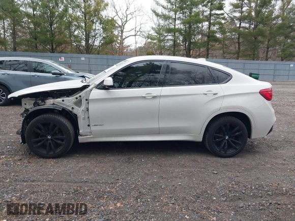 2018 BMW X6 sDrive35i with VIN 5UXKU0C56J0G81224, listed as a IAAI auction lot 41734077 with 121,145 mi miles. Bid and sale history available at carsss.com. Image 14.
