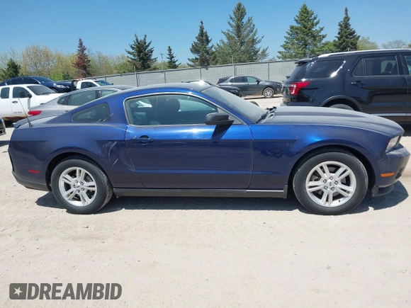 2012 Ford Mustang Premium with VIN 1ZVBP8AM3C5253841, listed as a IAAI auction lot 42157276 with 58,054 mi miles and . Bid and sale history available at DreamBid. Image 13.