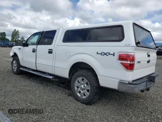 2011 Ford F-150 XLT z VIN 1FTFW1ET7BFA63209, wystawiony jako Copart lot #57361325 z przebiegiem 135 245 mil mil oraz Szkoda całkowita • Salvage title. Historia ofert i sprzedaży dostępna na DreamBid. Obrazek 2.