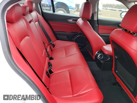 2019 Alfa Romeo Giulia with VIN ZARFANANXK7622362, listed as a Copart auction lot 46535223 with 28,946 mi miles. Bid and sale history available at carsss.com. Image 10.