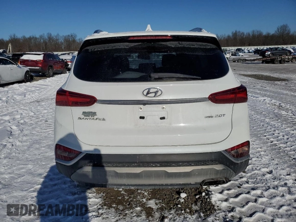 2020 Hyundai Santa Fe SEL with VIN 5NMS3CAA8LH299704, listed as a Copart auction lot 41842335 with 55,980 mi miles and Salvage Title. Bid and sale history available at carsss.com. Image 6.