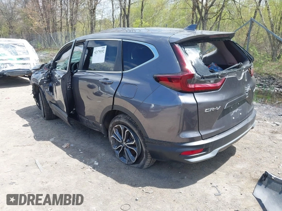 2022 Honda CR-V EX-L with VIN 5J6RW2H81NA000662, listed as a IAAI auction lot 42179192 with 18,563 mi miles and . Bid and sale history available at DreamBid. Image 3.