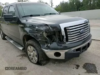 2010 Ford F-150 XL with VIN 1FTEW1C88AFC56624, listed as a Copart auction lot 50648135 with 228,961 mi miles and Salvage Title. Bid and sale history available at carsss.com. Image 10.