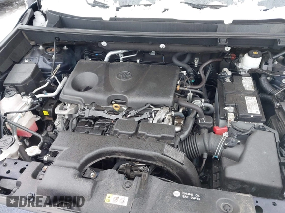2020 Toyota RAV4 XLE with VIN 2T3P1RFV4LC117598, listed as a IAAI auction lot 41556701 with 38,447 mi miles. Bid and sale history available at carsss.com. Image 10.