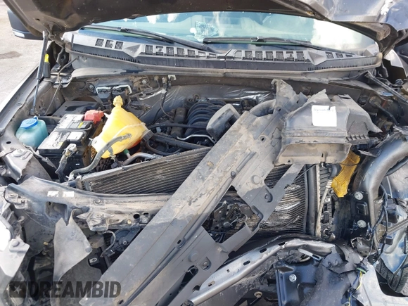 2017 Ford F-150 XL with VIN 1FTEX1CF3HKC23351, listed as a IAAI auction lot 40623873 with 135,670 mi miles. Bid and sale history available at carsss.com. Image 10.