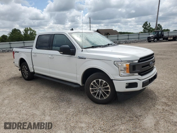 2019 Ford F-150 XL with VIN 1FTEW1CPXKFA75369, listed as a Copart auction lot 61735505 with 164,310 mi miles and Clean title. Bid and sale history available at DreamBid. Image 4.