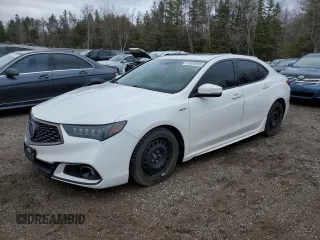 2019 Acura TLX w/A-Spec Pkg z VIN 19UUB1F61KA800995, wystawiony jako Copart lot #51055995 z przebiegiem 293 680 mil mil oraz Szkoda całkowita • Salvage title. Historia ofert i sprzedaży dostępna na DreamBid. Obrazek 1.