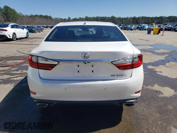 2018 Lexus ES with VIN 58ABK1GG9JU102164, listed as a Copart auction lot 48566765 with 58,203 mi miles and Salvage Title. Bid and sale history available at carsss.com. Image 6.